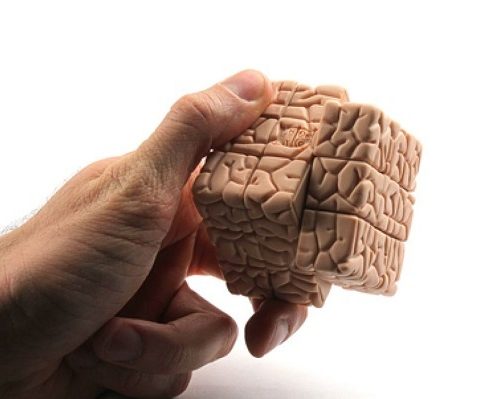Neuroplasticidade: A adaptação natural do Cérebro