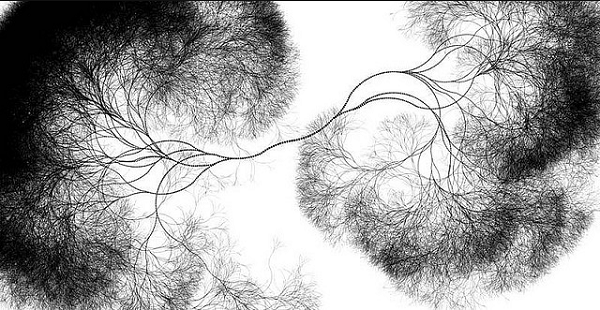 Neurônios Espelho e a Constelação Sistêmica